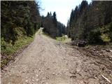 Konjska raven (Pokljuka) - Turn (above Bohinjska Bela)