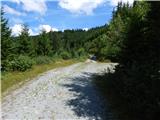 Pod Peco (Koželj) / Koprein-Petzen (Koschiel) - Snežnik (above Koprivna)