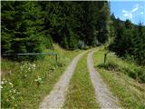 Pod Peco (Koželj) / Koprein-Petzen (Koschiel) - Snežnik (above Koprivna)