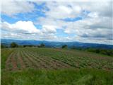 Mala Goričica - Agrotourism Obolno