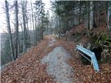 Sviščaki - Snežnik