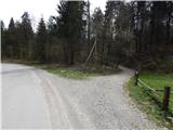 Radovljica - Castle Lipniški grad (Pusti grad above Lipnica)