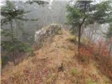 Kokra (resting place Kokra-sotočje) - Kopa (Partizanski vrh)