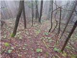 Kokra (resting place Kokra-sotočje) - Kopa (Partizanski vrh)