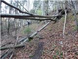 Source of Ljubija - Sveti Križ above Bele Vode