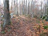 Rdeči Kal - Ostri vrh (above Globodol)