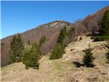 Tolminska korita - Javor (above Tolminske Ravne)