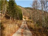 Molnarjev breg - Planina Osredek