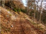 Molnarjev breg - Planina Osredek