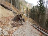 Molnarjev breg - Planina Osredek