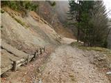 Molnarjev breg - Planina Osredek