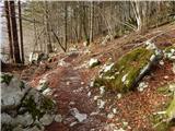 Jezersko polje - Koča pri Savici