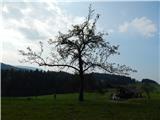 Gradiško jezero - Gradiški grič