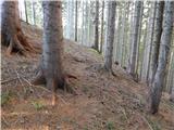 Jezerska slatina - Roblekova planina