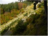 Pod Krnico - Planina Ilovica