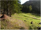 Pod Krnico - Planina Ilovica