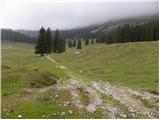 Pod Krnico - Planina Pungrat