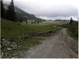 Pod Krnico - Planina Ilovica