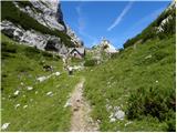 Planina Ravne - Kapelica na Molički planini