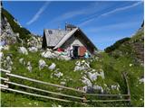 Planina Ravne - Kapelica na Molički planini