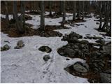 Bohinjsko sedlo - Šavnik