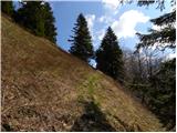 Bohinjsko sedlo - Šavnik