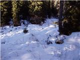 Planina Blato - Pršivec