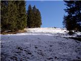 Grahovše - Planina Javornik