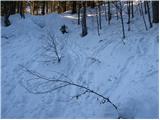 Planina pod Golico - Koča na Golici