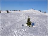 Koča na Naravskih ledinah - Dom na Uršlji gori