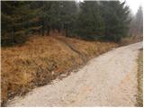 Planina - Hunting cottage on Planinska gora