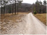 Lohača - Polšakova koča na Zagori