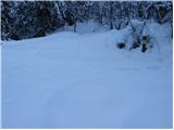 Planina pod Golico - Belska planina (Svečica)