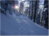 Planina pod Golico - Barentaler Kotschna/Struška