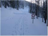 Planina pod Golico - Belska planina (Svečica)