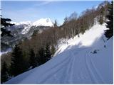 Planina pod Golico - Belska planina (Svečica)