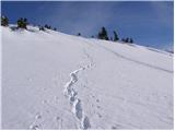 Planina pod Golico - Barentaler Kotschna/Struška