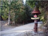 Ribnica na Pohorju - Koča na Pesniku
