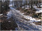 Črni Vrh (Grom) - Javornik above Črni vrh