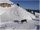 Rosstratte - Dobrač / Dobratsch