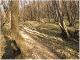 Source of Hubelj - Otliški maj