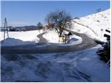 Vrzdenec - Koreno