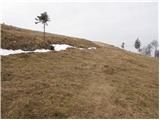 Col - Podrta gora above Ajdovščina