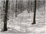 Kampelc - Javornik above Črni vrh