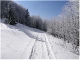 Kampelc - Javornik above Črni vrh