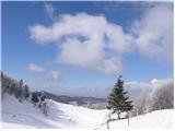 Kampelc - Javornik above Črni vrh