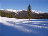 Planina Zajavornik