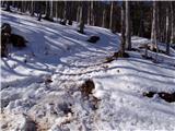 Brezje pri Tržiču - Lešanska planina