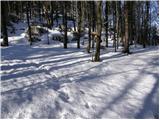 Podkraj - Križna gora (Hrušica)