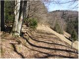 Bresternica (Šiker) - Planinski dom Kozjak